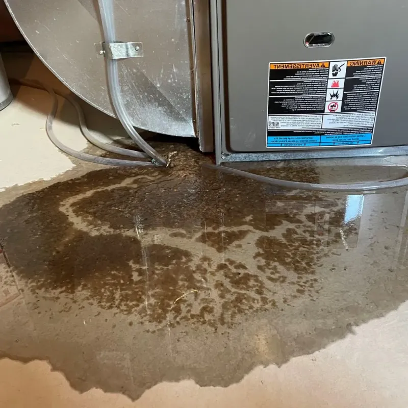 Pipe Burst and Leak Restoration in Cornville, ME