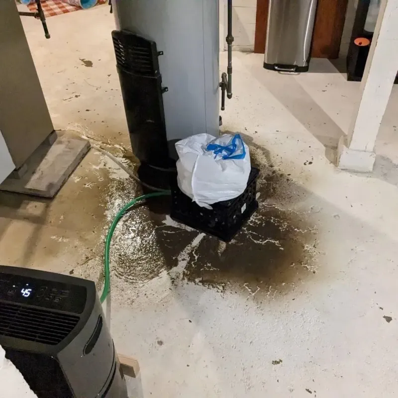 Sewage Backup Cleanup Service in Cornville, ME